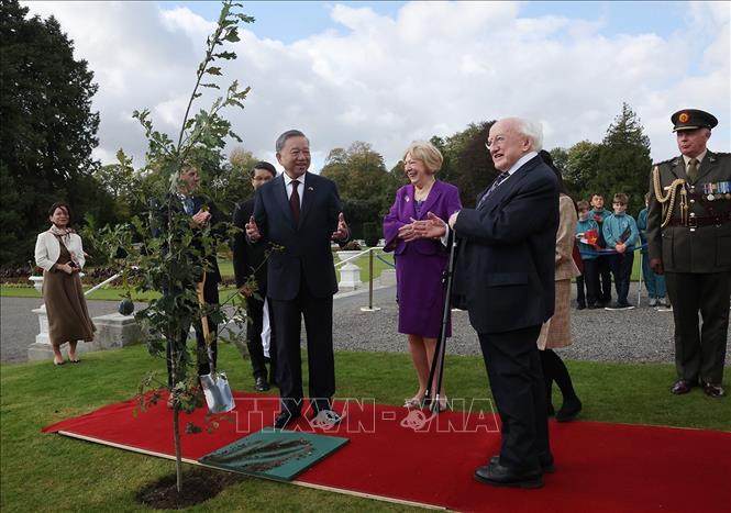 Irish President Michael D. Higgins, his wife and General Secretary and President To Lam at the tree planting ceremony. Photo: VNA