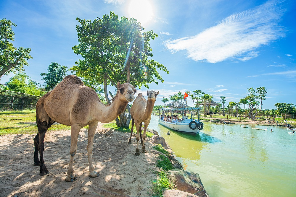 Safari por el río y recorrido de vida salvaje