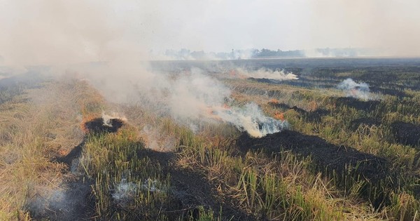 ចំបើងកំពុងឆេះ ... លុយ