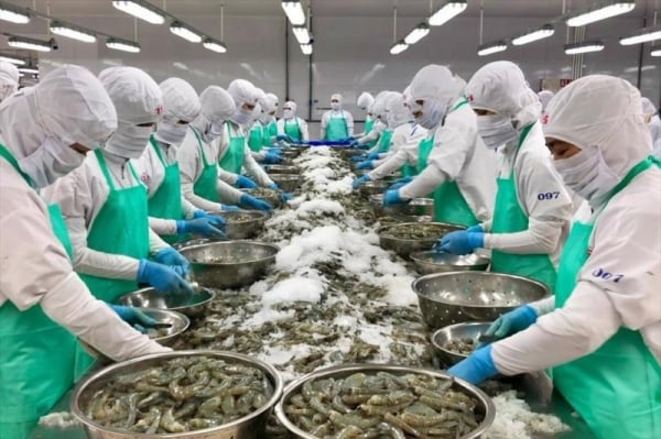 Nombra los 3 mercados que más compran mariscos de Vietnam en el primer trimestre de 2024