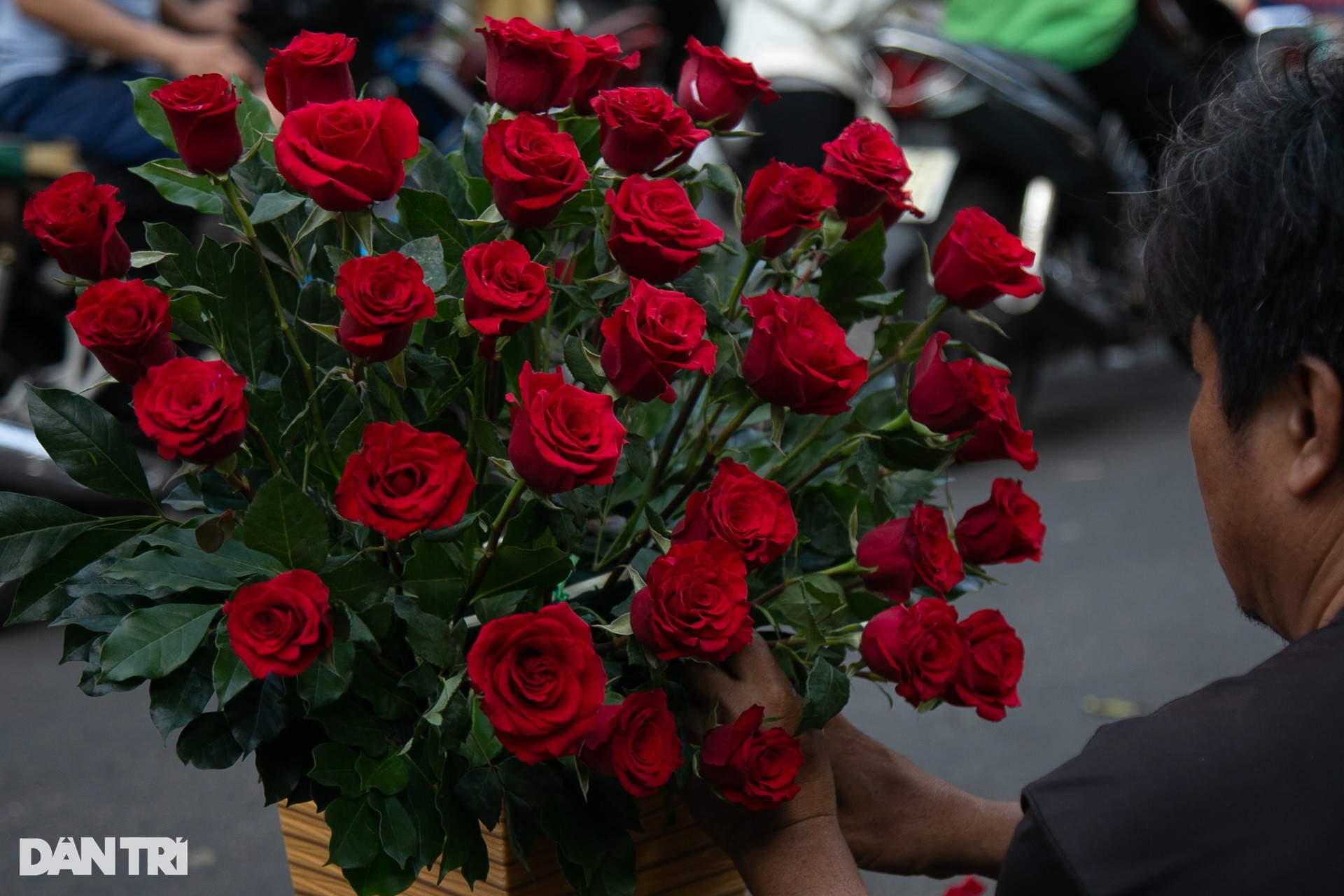 Crowding at the largest flower market in Ho Chi Minh City on March 8th photo 6