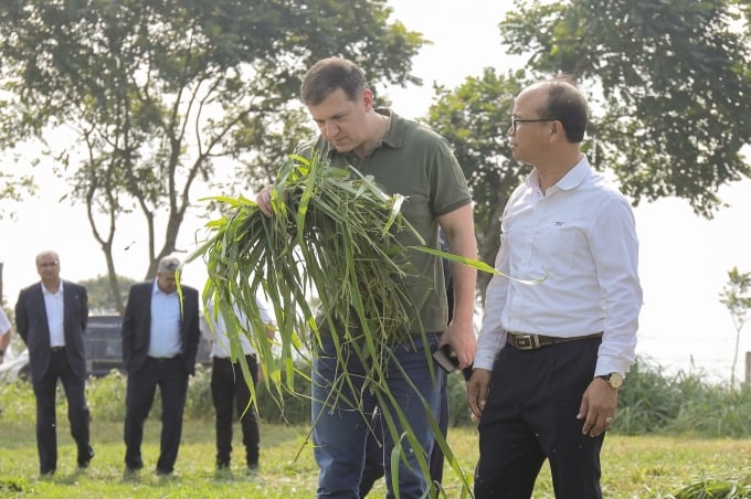 M. Efremov Alexander Viktorovich à côté de grands champs d'herbe cultivés comme fourrage pour les vaches laitières TH. Photo: TH