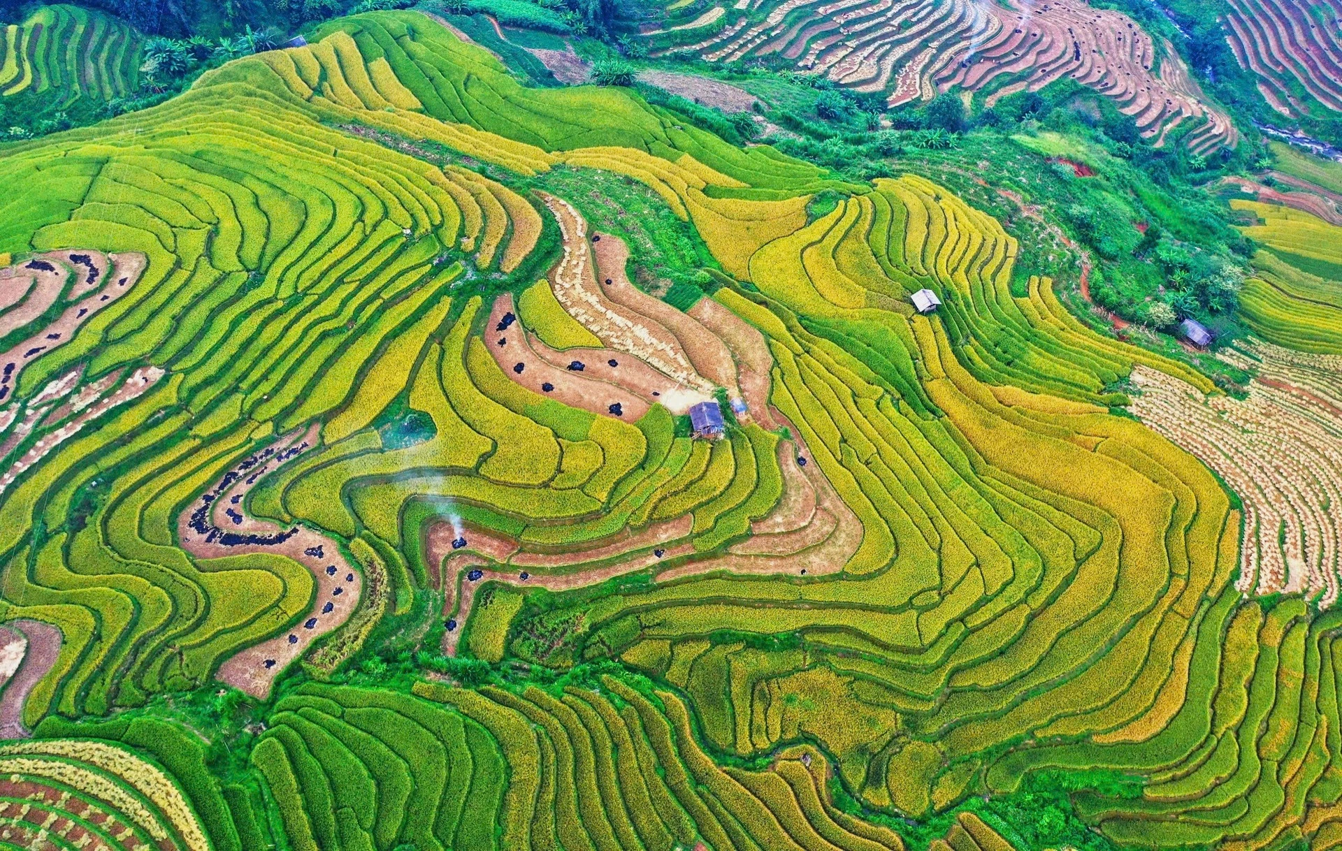 Temporada dorada en los campos en terrazas de Mu Cang Chai