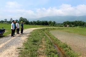 សួតរបស់ខ្ញុំ 