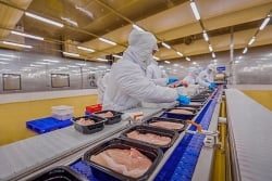 Giá heo hơi hôm nay 14/4: Giá heo hơi miền Nam đi lên, cao nhất 52.000 đồng/kg, giá thịt heo tại EU tăng kỷ lục