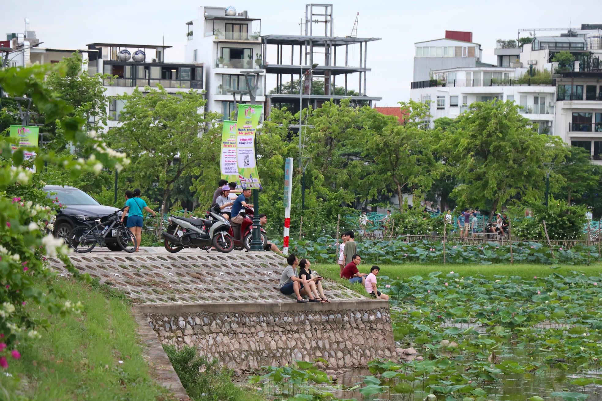 Người dân thích thú với đầm sen Bách Diệp được trồng khôi phục ở hồ Tây ảnh 3