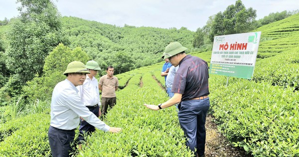 우수한 직원 - 협동 개발의 원동력