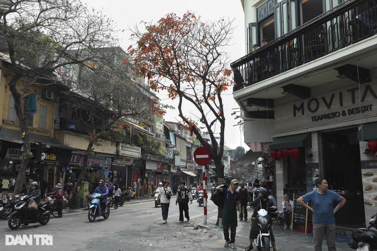 ハノイの紅葉シーズンの奇妙に美しい街角 - 10 Những góc phố đẹp lạ trong mùa cây lá đỏ ở Hà Nội - 10