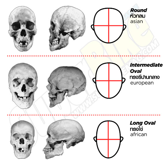 Choosing the right helmet: things bikers need to know (Figure 2)