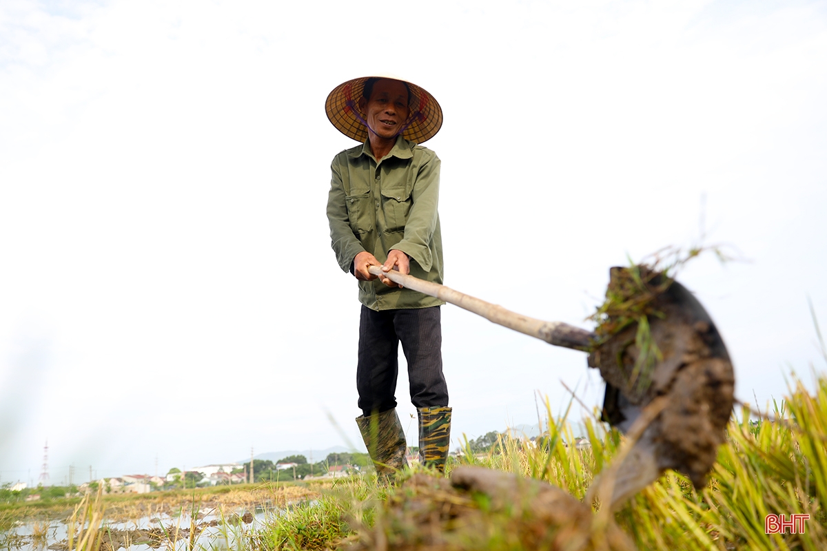 Ha Tinh farmers race against summer-autumn planting schedule