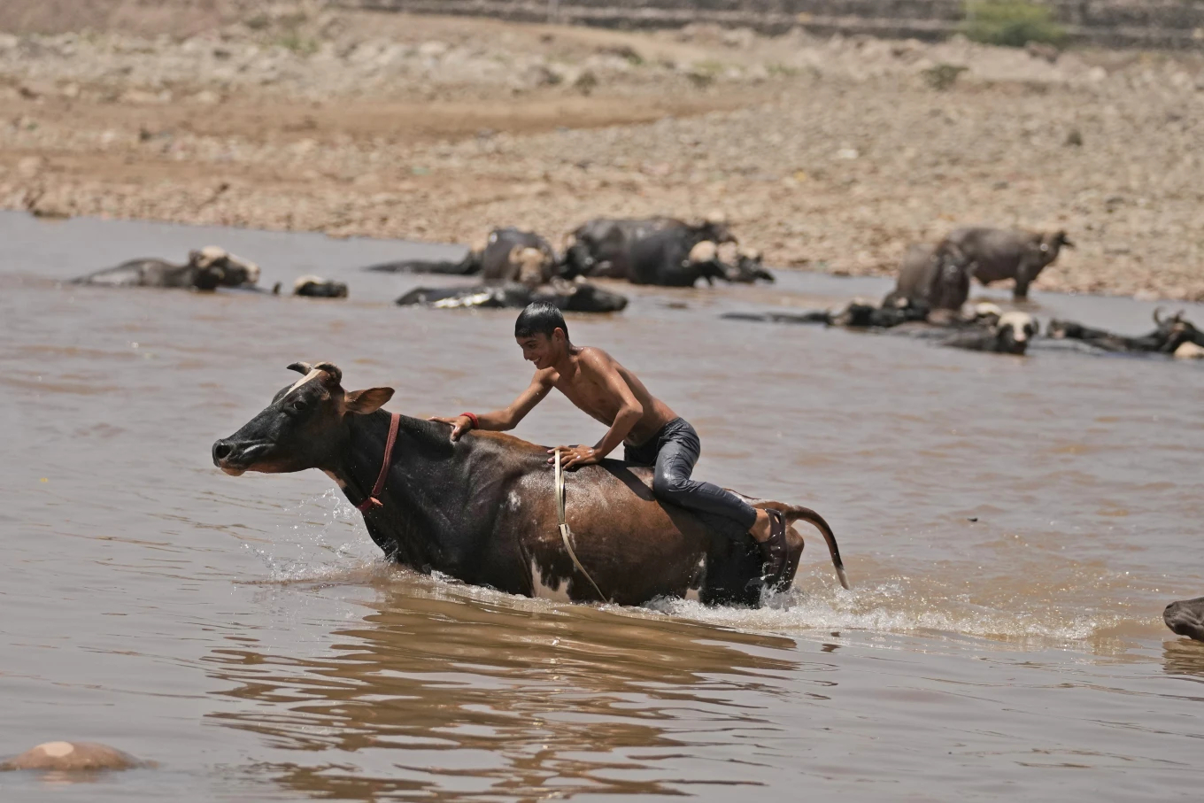 កម្រង​រូបភាព​បង្ហាញ​ពី​មនុស្ស​ដែល​តស៊ូ​ក្នុង​អាកាសធាតុ​ក្តៅ​ដូច​ព្យុះ​កំបុតត្បូង​ក្នុង​រូបថត​ទី ១៣។