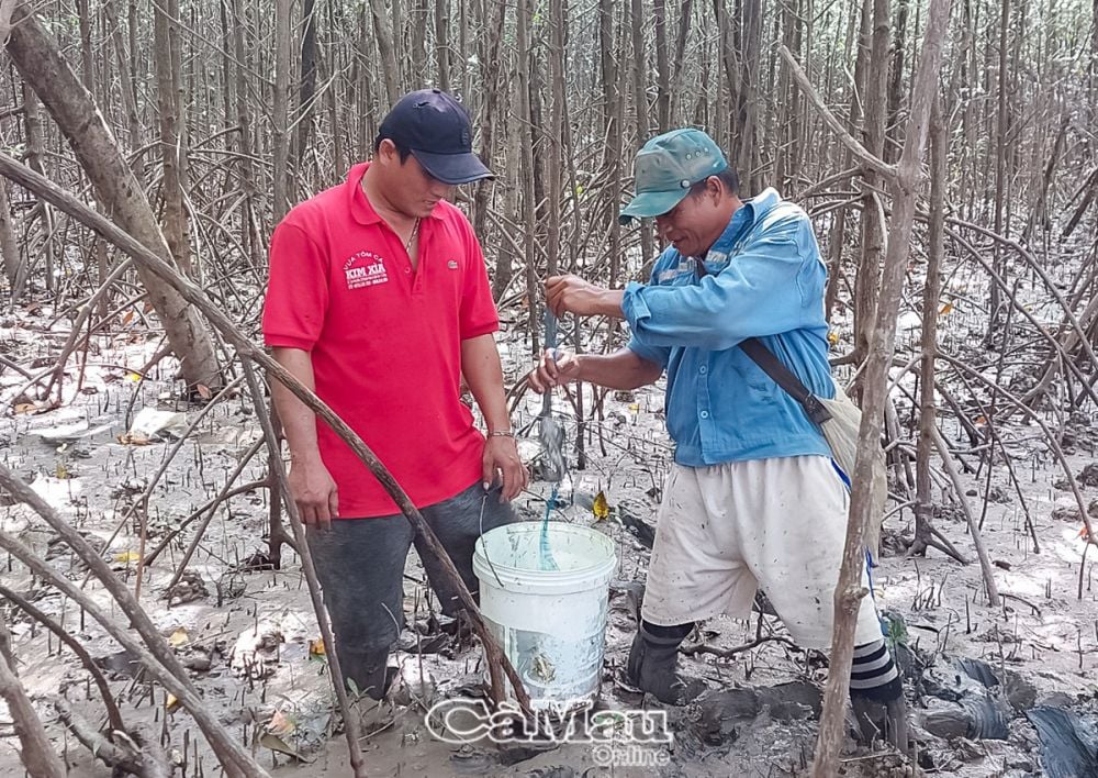 Vùng đất tận cùng của Tổ Quốc có loài cá tinh ranh, nhanh nhẹn khiến 