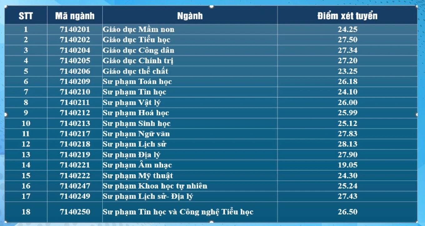 Điểm chuẩn ĐH Đà Nẵng: Cao nhất ngành sư phạm lịch sử với 28,13 điểm  - Ảnh 1.