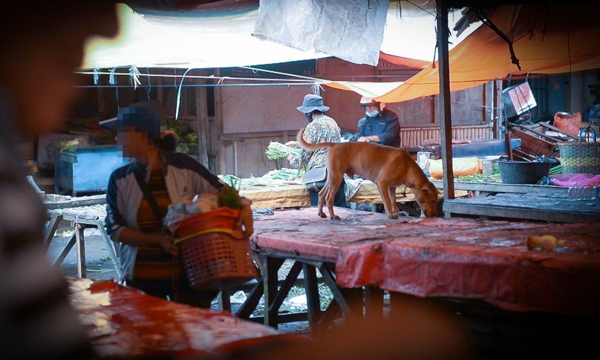 Dog and cat meat banned at famous Indonesian market