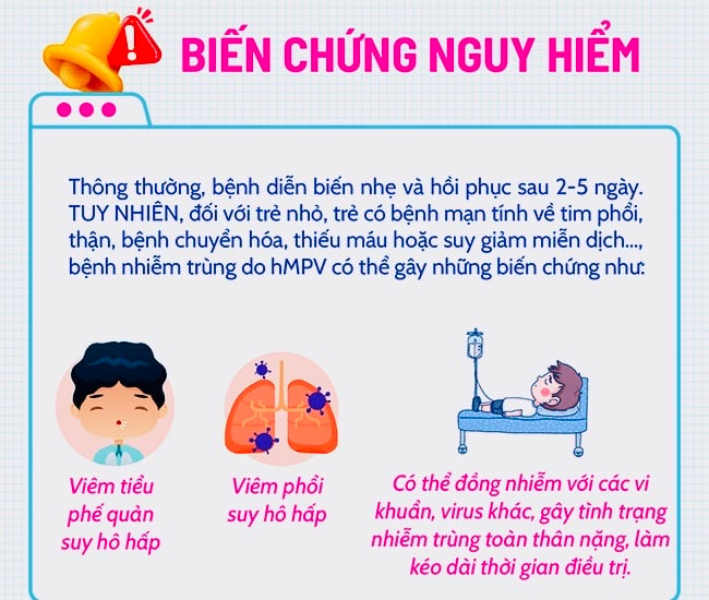 Virus hMPV gây viêm phổi có thể tiến hóa, thay đổi độc lực- Ảnh 1.