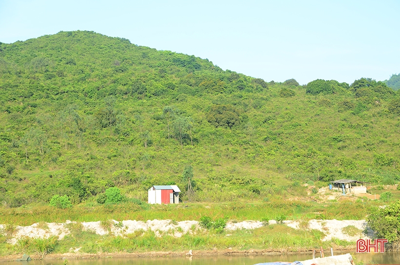 9X Nghi Xuan recupera tierras montañosas para criar cientos de jabalíes