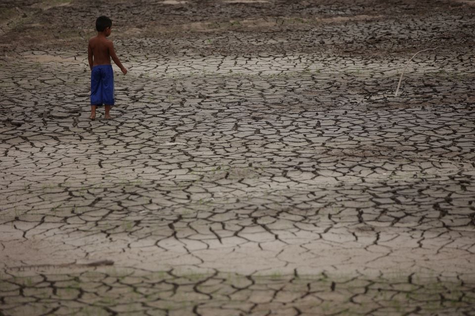 El cambio climático provoca una sequía récord en la Amazonía (imagen 1)