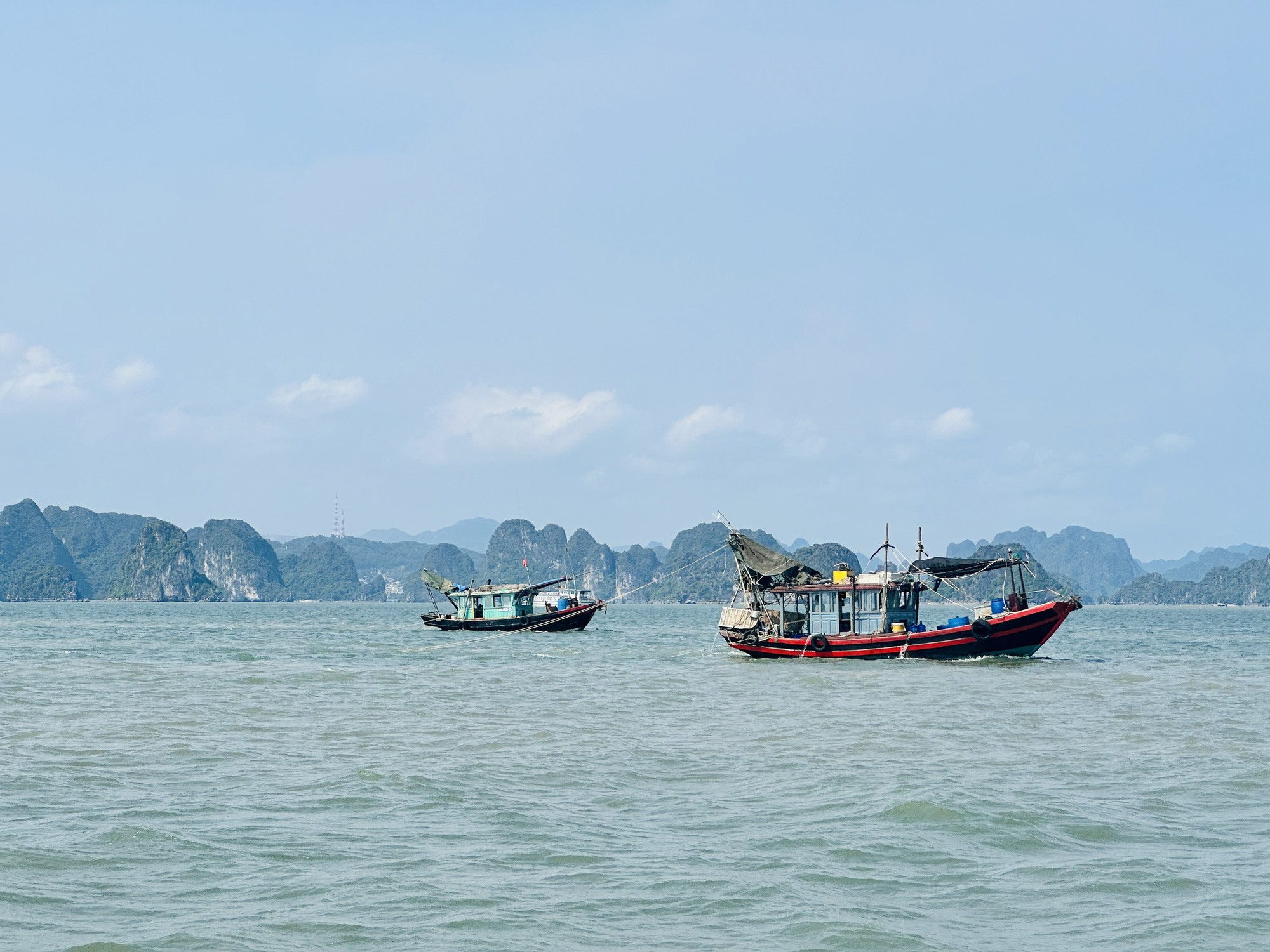 Quảng Ninh: Tàu giã cào công khai tàn sát môi trường vịnh Hạ Long  - Ảnh 3.