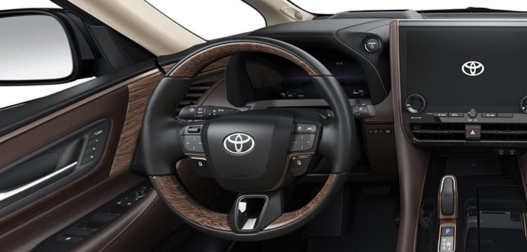 Toyota bringt Alphard 2023 auf den Markt, Preis fast 45 Milliarden, Modell 3