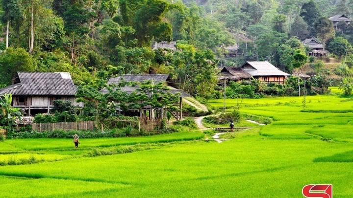 Vang mãi khúc tráng ca