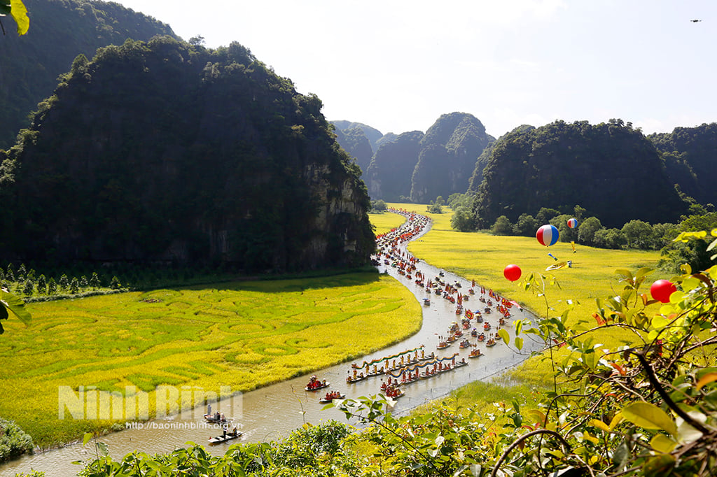 Sức hấp dẫn của Photo tour Mùa vàng Tam Cốc