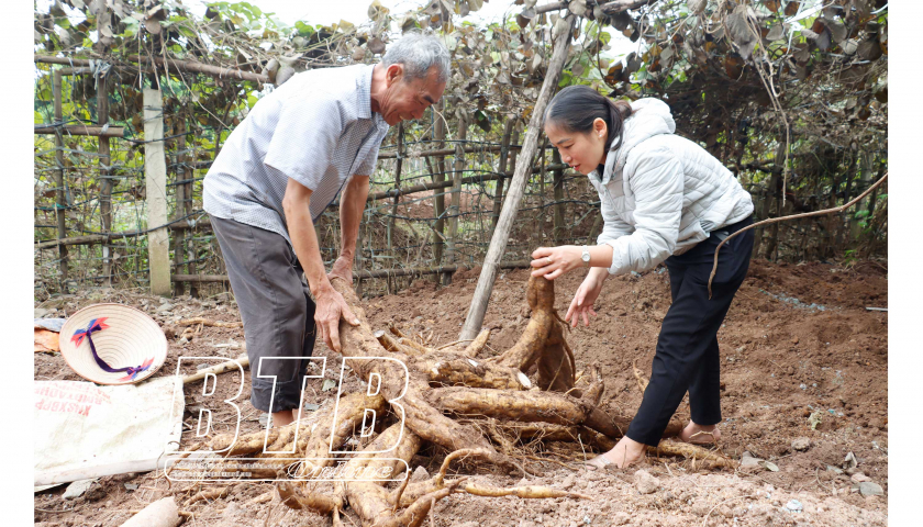 Mang loài 