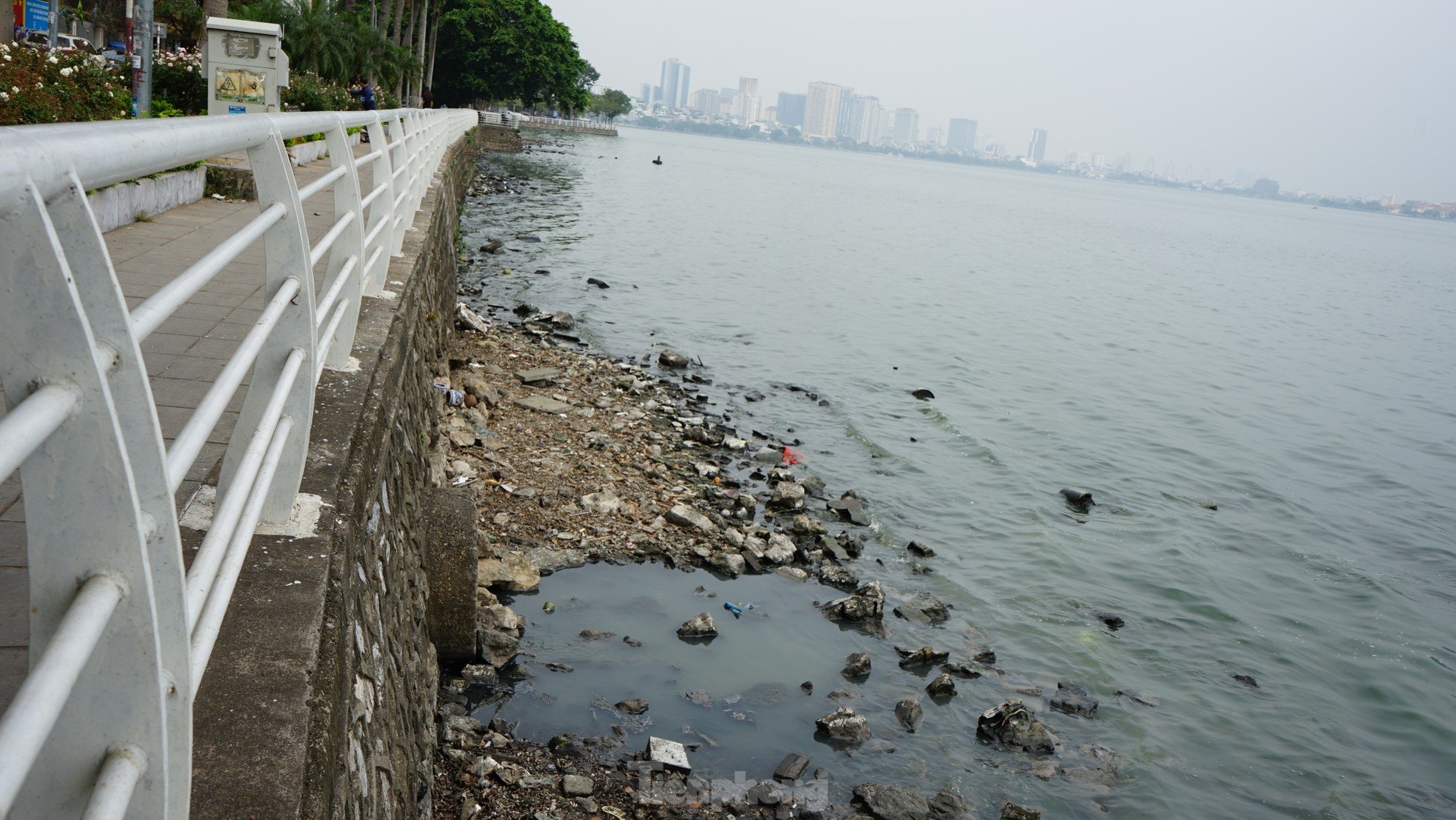 Grave contaminación, muchos lagos de Hanoi 'piden ayuda' (foto 10)