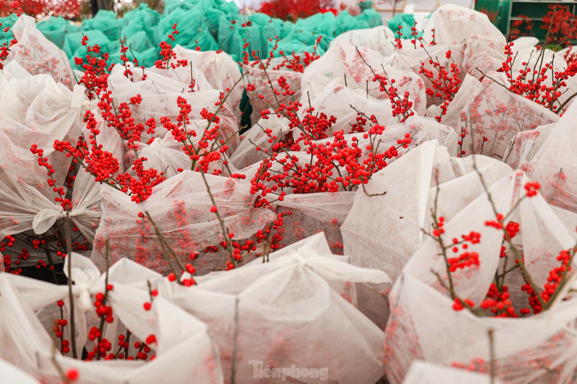 Las flores frescas de durazno combinadas con madera flotante que vale cientos de millones de dongs aún atraen a los clientes. Foto 6