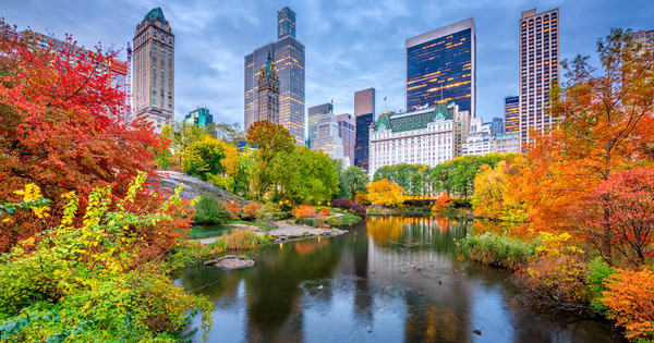 Vẻ đẹp bốn mùa rực rỡ tại Central Park, New York