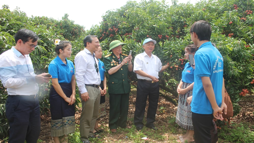 Bắc Giang, chương trình “Ươm mầm hữu nghị” Việt – Lào, Việt Nam, Lào, vải thiều, Vĩnh Nghiêm.