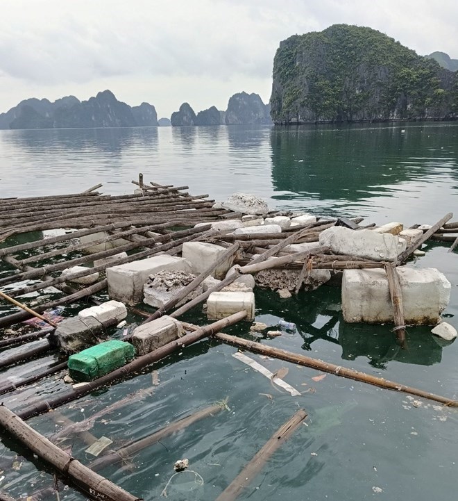 Être sur la « liste noire 2024 » est un avertissement pour la baie d'Ha Long concernant les déchets