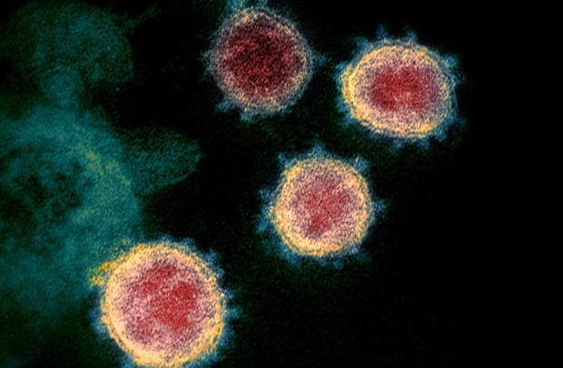 Israël a découvert une nouvelle variante EG.5.1 du virus SARS-COV-2, image 1
