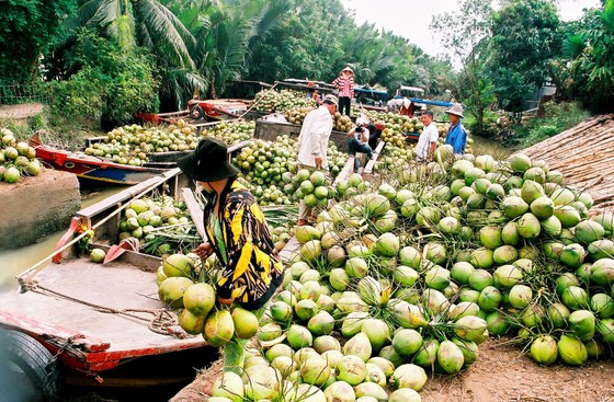 ការចរចា និងនាំយកផ្លែដូងស្រស់ទៅសហរដ្ឋអាមេរិក រូបថត ១