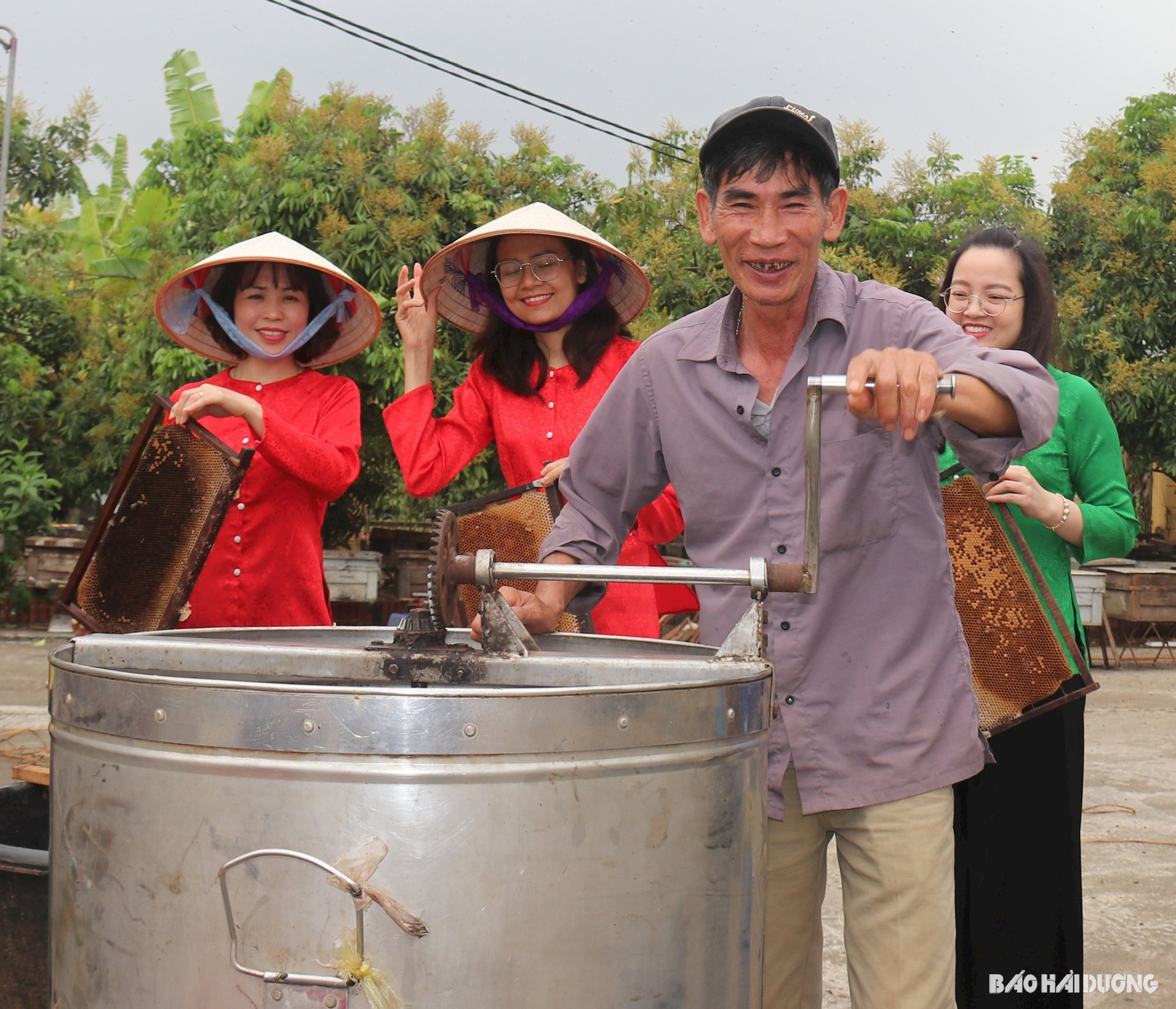 Về Thanh Hà, Hải Dương xem thợ ong lấy mật vải là một trong những trải nghiệm thú vị vào tháng 3 hằng năm- Ảnh 1.