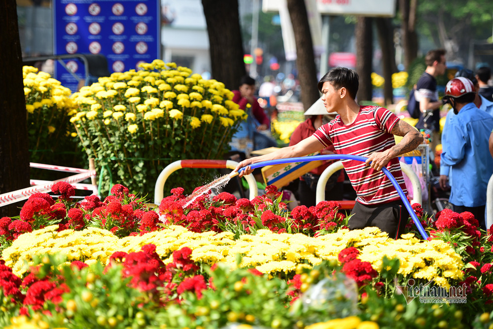 Fête du Têt - Thanh Tung 2025.jpg