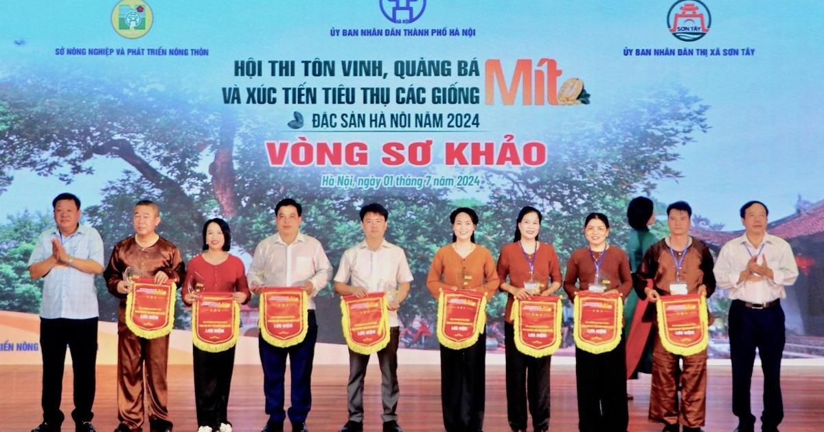 Lần đầu tổ chức Hội thi mít đặc sản Hà Nội năm 2024