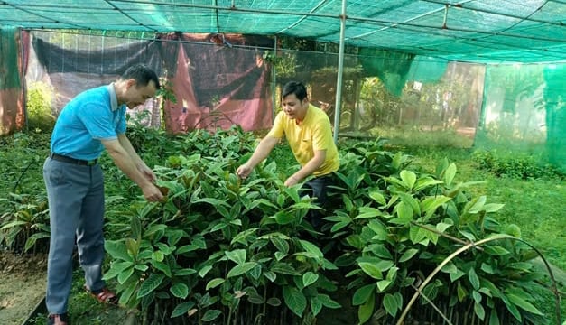 The door opens up a sustainable source of income for people in Western Nghe An