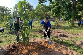 Allocate more than 500 million VND to plant scattered trees