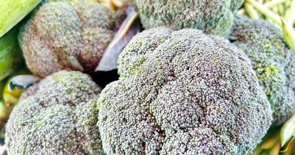 ¿Las personas con enfermedad de la tiroides deben abstenerse de comer repollo y coliflor?