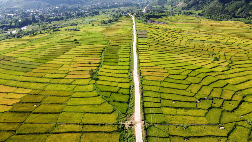 Những con đường bê tông nội đồng giúp bà con thuận lợi hơn trong sản xuất nông nghiệp