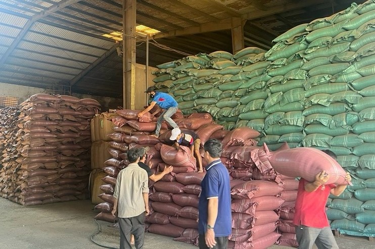 The quality of each bag of coffee exported from Dak Lak is beyond dispute. Photo: Bao Trung