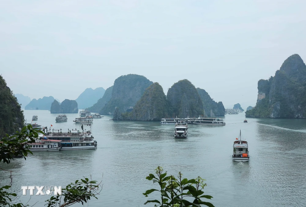 ttxvn_ha Long1.jpg