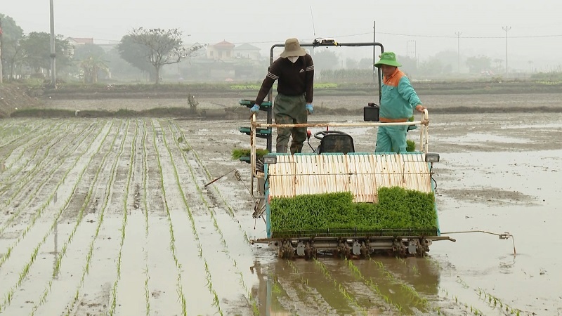 Đảm bảo khả năng phục hồi cho nông dân và cây trồng thông qua bảo hiểm nông nghiệp