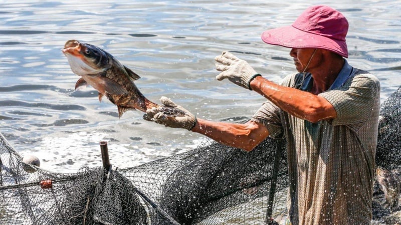 Xuất khẩu thủy sản “tấn công” vào các thị trường ngách