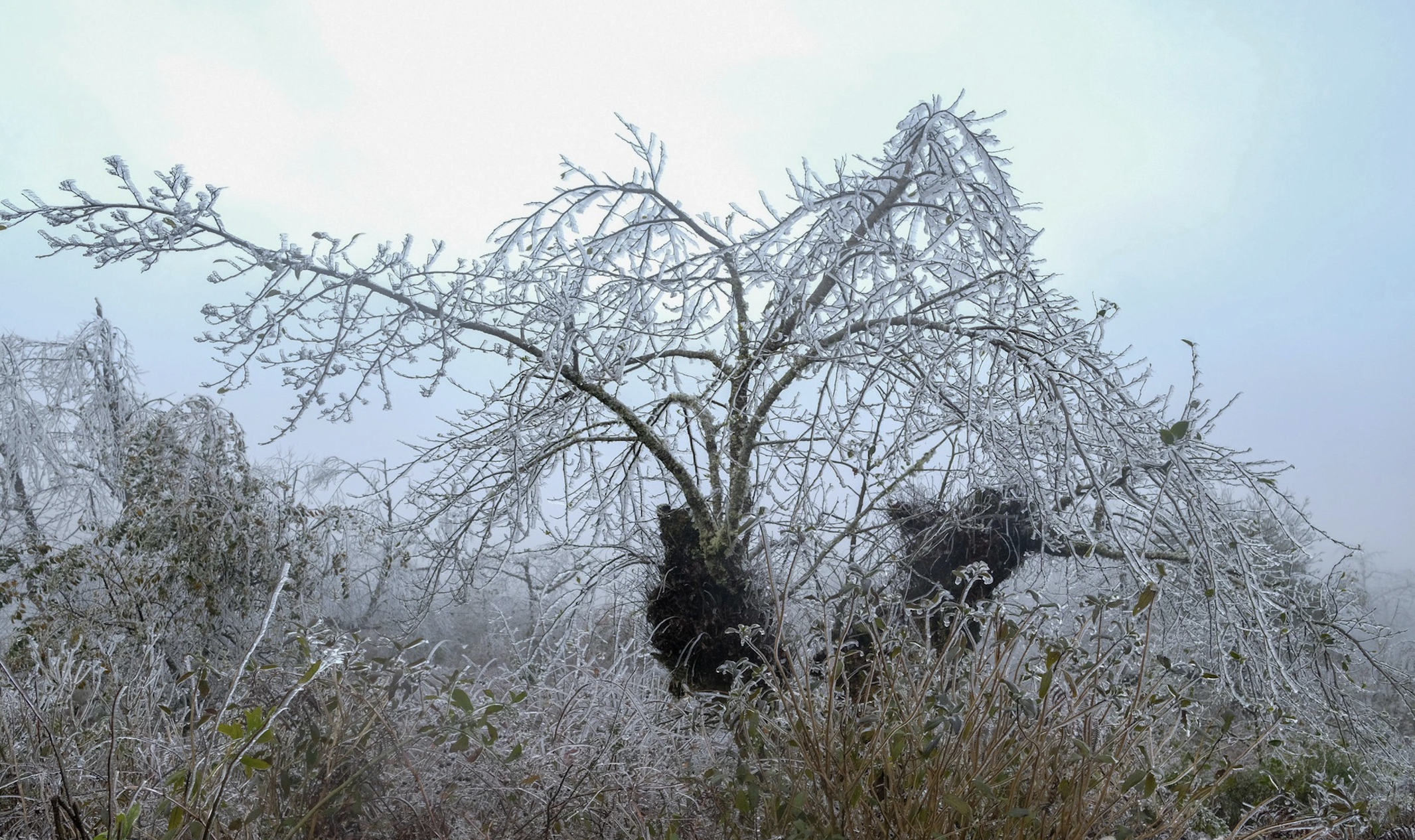 Living in harsh weather of -3 degrees Celsius in the 'village in the clouds'