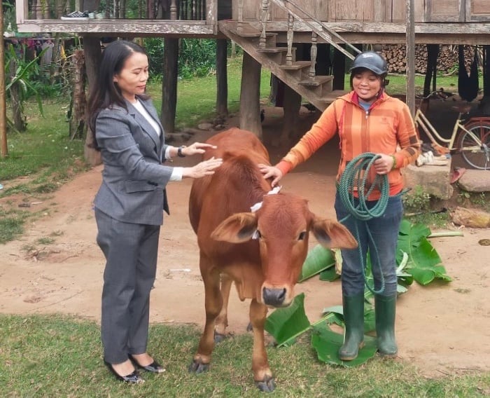 Ảnh minh hoạ. Nguồn: HLHPN Quảng Trị 