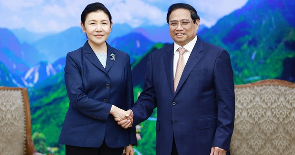 Le Premier ministre Pham Minh Chinh reçoit le ministre chinois de la Justice He Rong