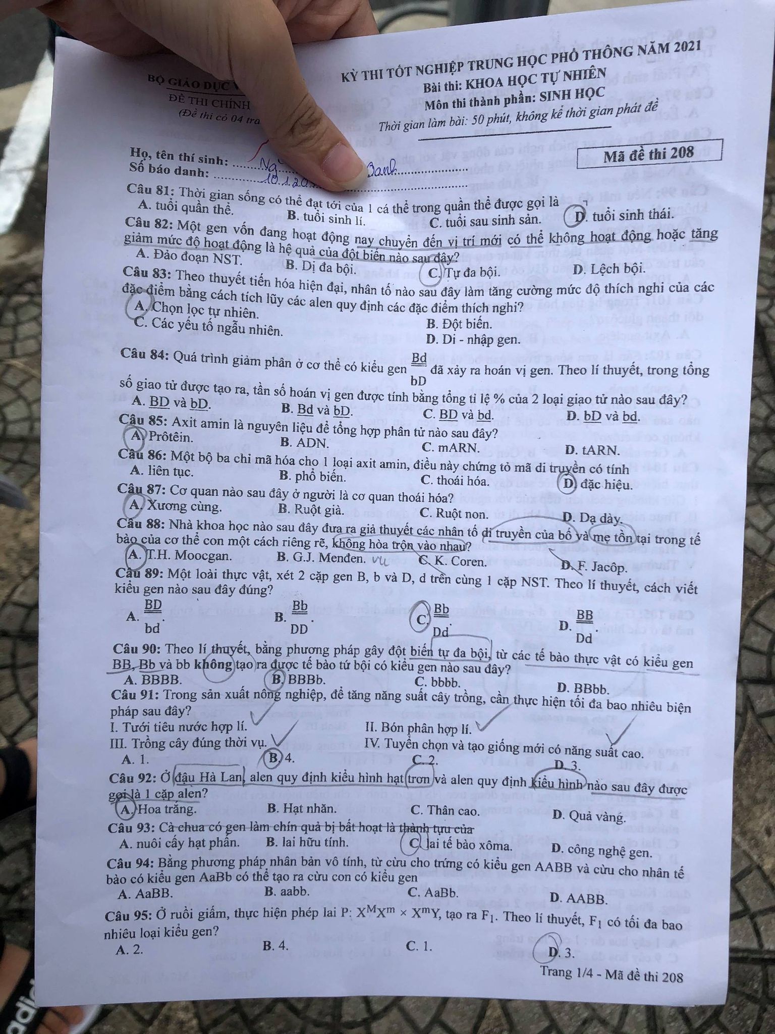Đề thi môn Sinh học tốt nghiệp THPT 3 năm gần đây có đáp án tất cả mã đề- Ảnh 14.