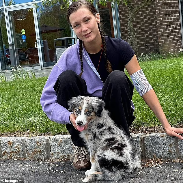 Siêu mẫu Bella Hadid kể cuộc chiến chống bệnh Lyme - Ảnh 9.