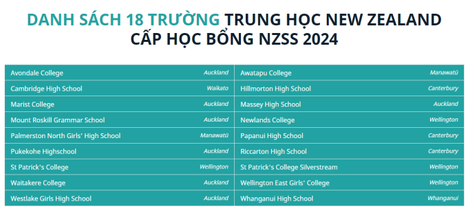 Список 18 средних школ Новой Зеландии, предлагающих стипендии. Скриншот